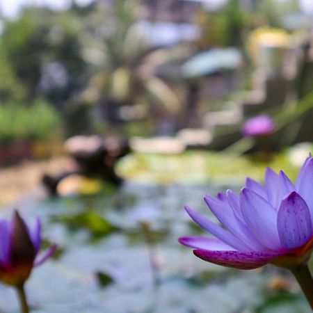 Magnet Hotel Ella Ngoại thất bức ảnh