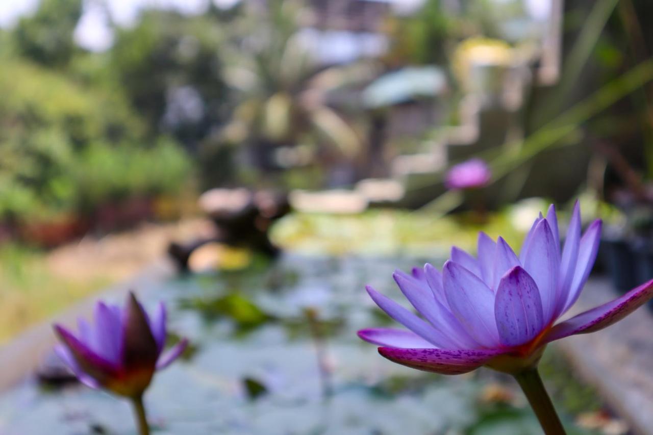 Magnet Hotel Ella Ngoại thất bức ảnh